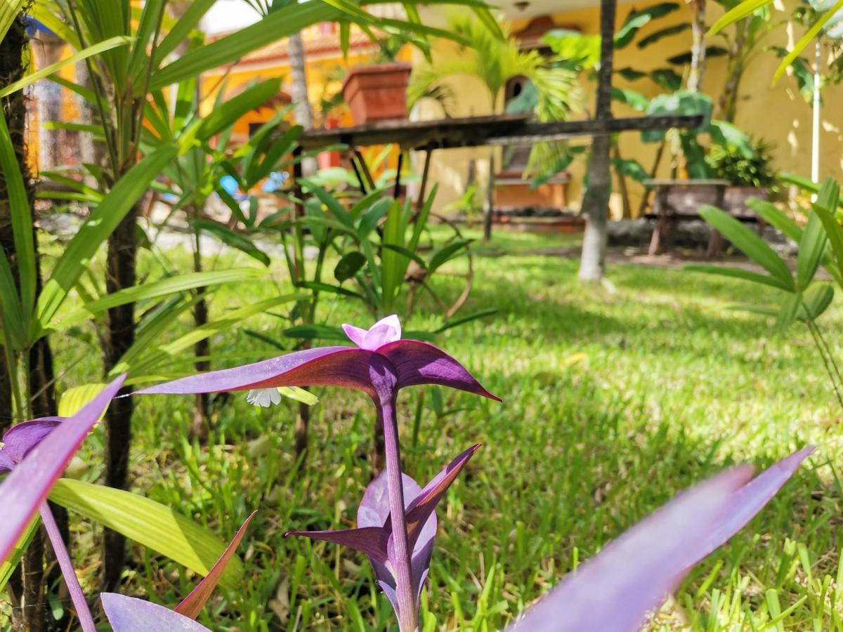 Hacienda Valentina Hotel Playa del Carmen Exterior foto